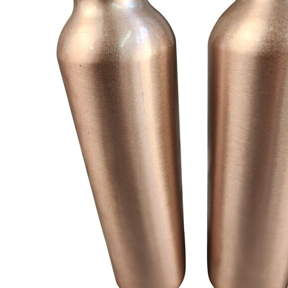 Aluminum Spray & Pump Bottles 2-Pack With Black Caps For Plant Garden Beauty Or - Picture 2 of 5